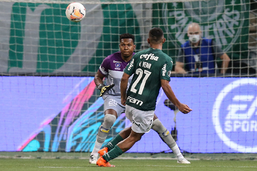 FBL-LIBERTADORES-PALMEIRAS-DELFIN