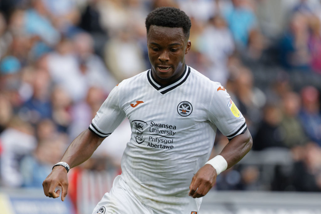 Swansea City v Hull City - Sky Bet Championship