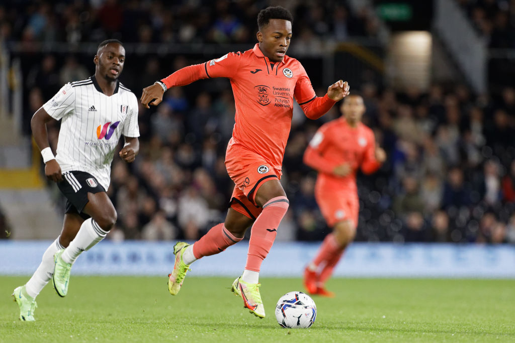 Fulham v Swansea - Sky Bet Championship