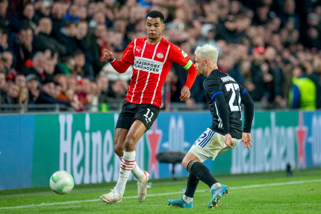 Psv Could Allow United-linked Cody Gakpo To Leave In The Summer