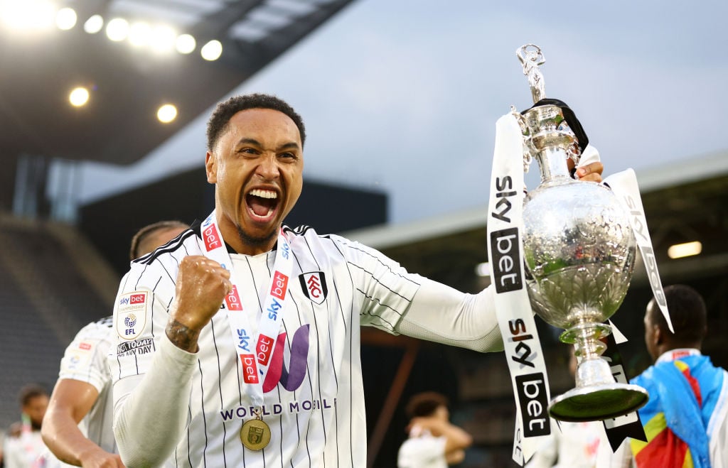 Fulham v Luton Town - Sky Bet Championship