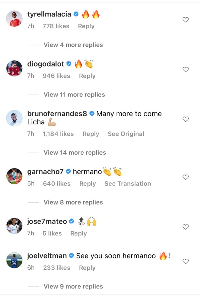 Responses to Lisandro Martinez