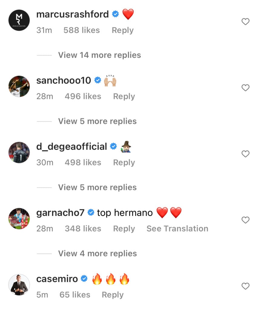Responses to Fernandes