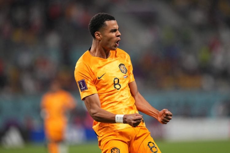 Cody Gakpo #8 of Netherlands celebrates after scoring his team's first goal during the FIFA World Cup Qatar 2022 Group A match between Netherlands ...