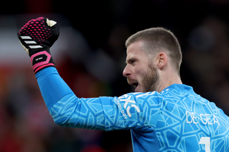 Manchester United fans react to David de Gea performance v Fulham