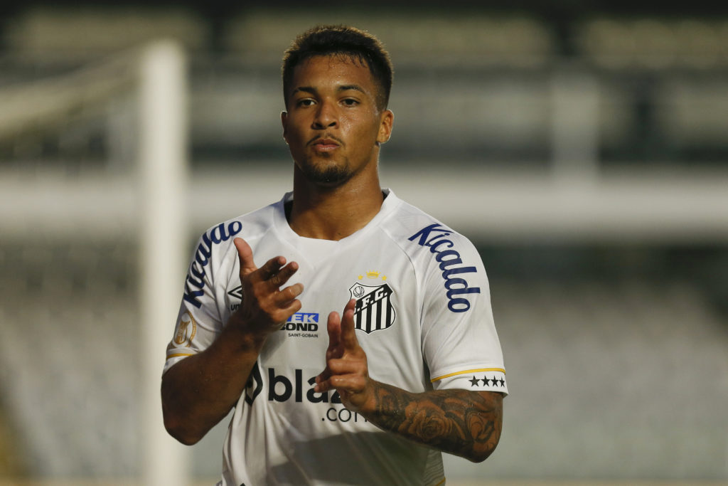 Santos v Botafogo - Brasileirao 2023