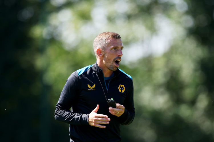 Photo by Jack Thomas - WWFC/Wolves via Getty Images
