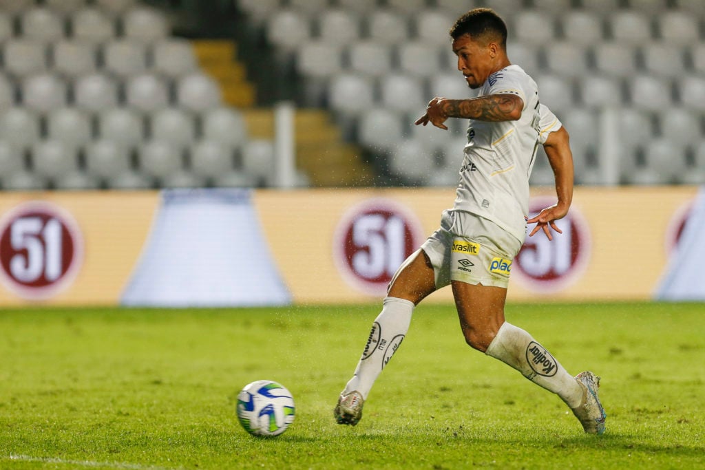 Santos v Botafogo - Brasileirao 2023