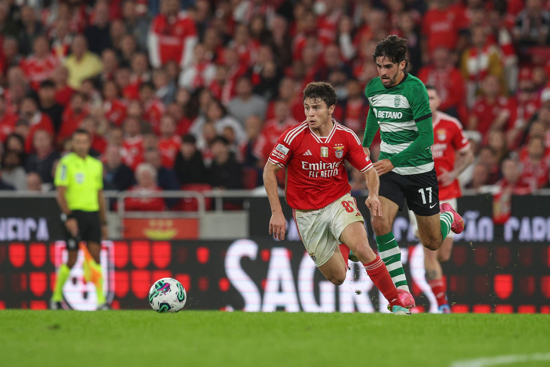 Jogo em Direto Benfica Sporting Liga Betclic - SL Benfica