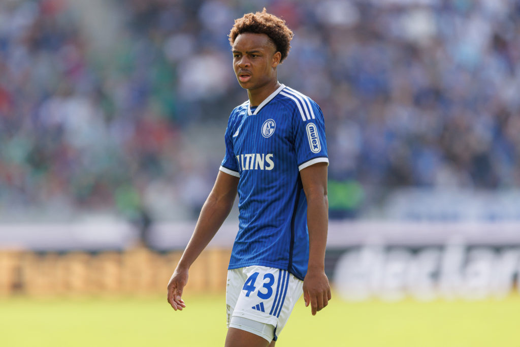 Assan Ouedraogo of FC Schalke 04 looks on during the Second Bundesliga match between Hannover 96 and FC Schalke 04 at Heinz von Heiden Arena on Apr...