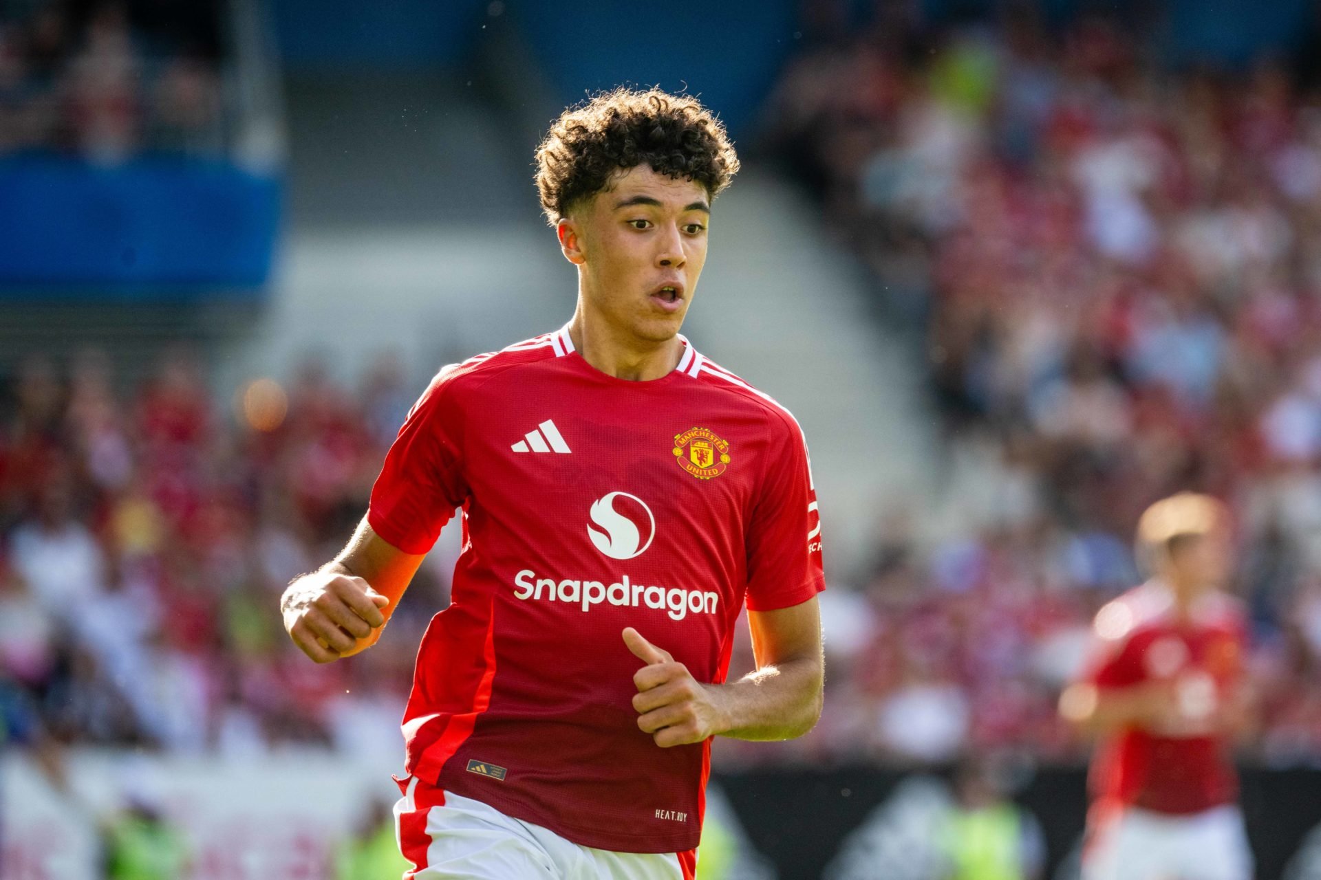 Manchester United have stunning collection of young strikers, adding