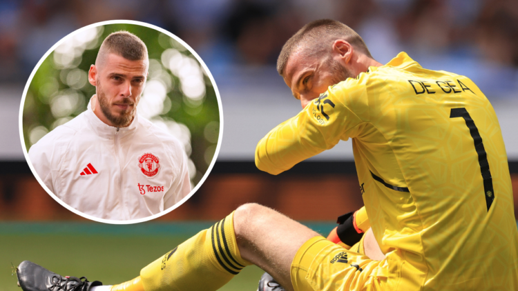 LONDON, ENGLAND - JUNE 3: Manchester United's David De Gea after picking up an injury during the Emirates FA Cup Final match between Manchester Cit...