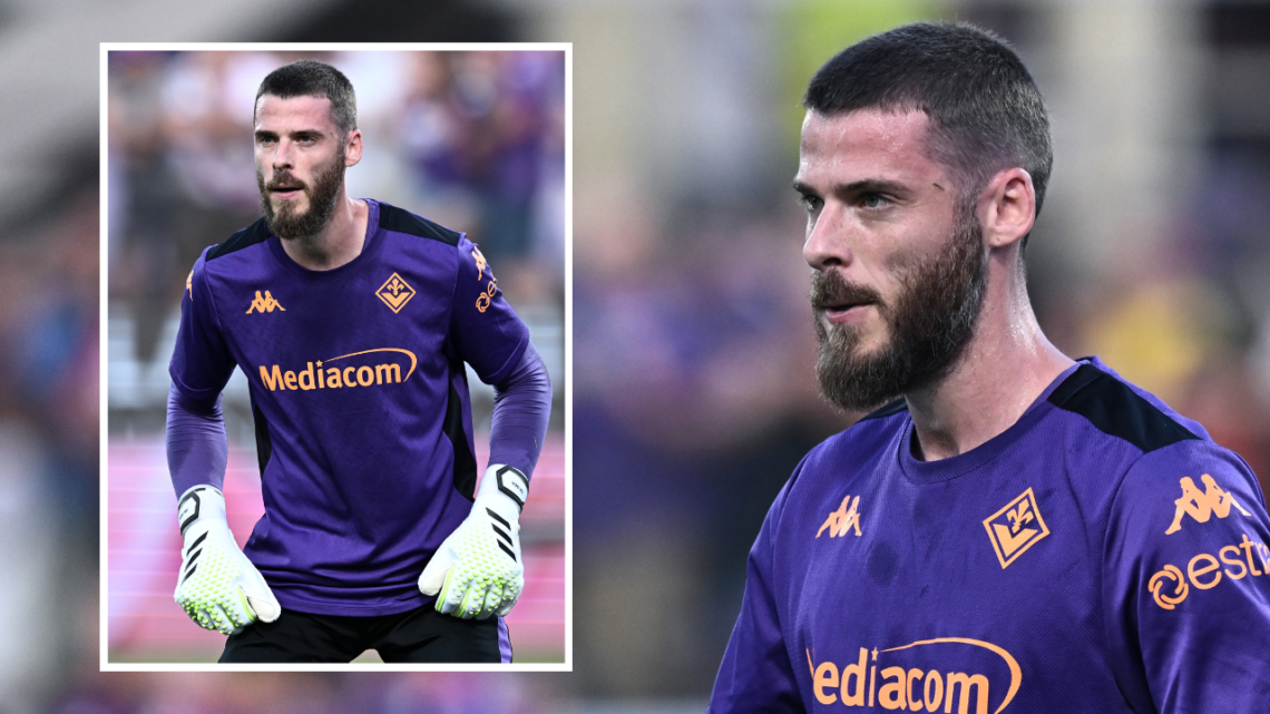 FLORENCE, ITALY - AUGUST 22: David de Gea of ACF Fiorentina during warm up of the the UEFA Europa Conference League Play-Off 1st leg match between ...