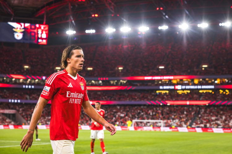 Photo by Henrique Casinhas/SOPA Images/LightRocket via Getty Images