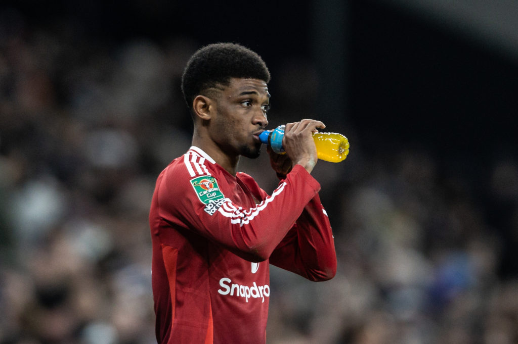 Tottenham Hotspur v Manchester United - Carabao Cup Quarter Final