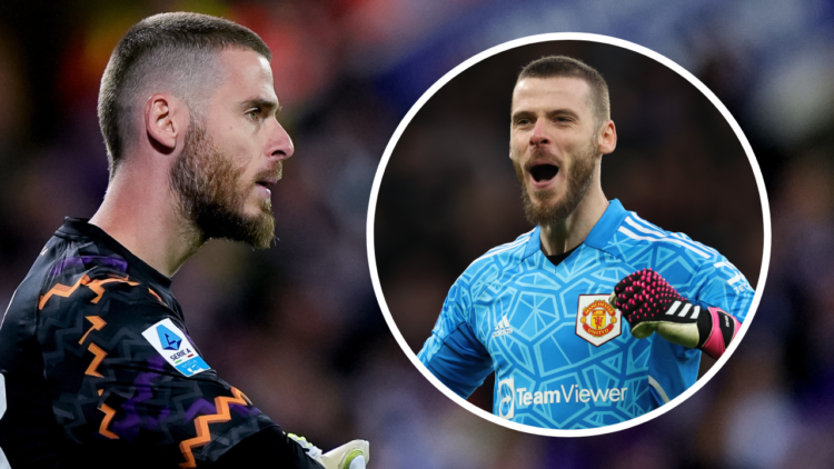 David De Gea of ACF Fiorentina looks on during the Serie A Enilive match between ACF Fiorentina and FC Internazionale at Stadio Artemio Franchi on ...
