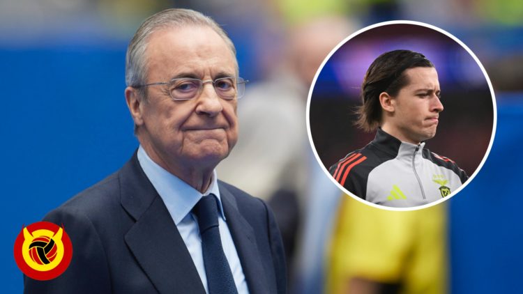 Florentino Perez stares at camera while wearing suit. Inset Alvaro Fernandez facing to the right of camera while wearing Benfica training outfit. O...