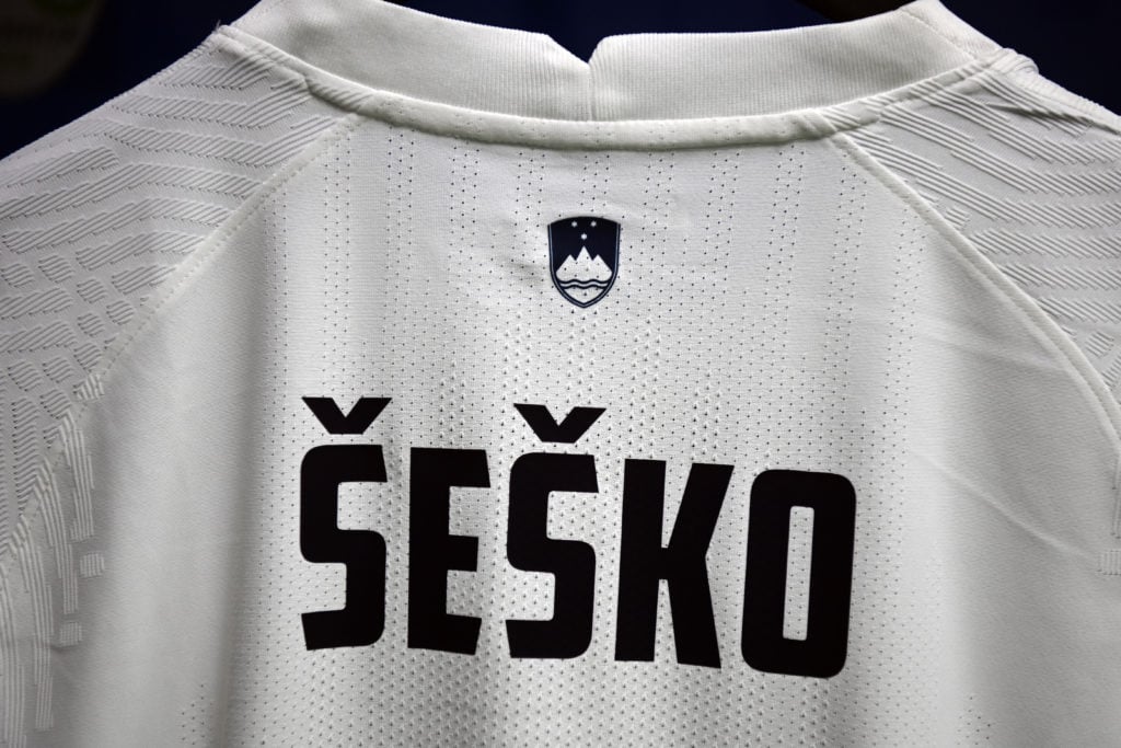 The back of Benjamin Sesko's Slovenia shirt.