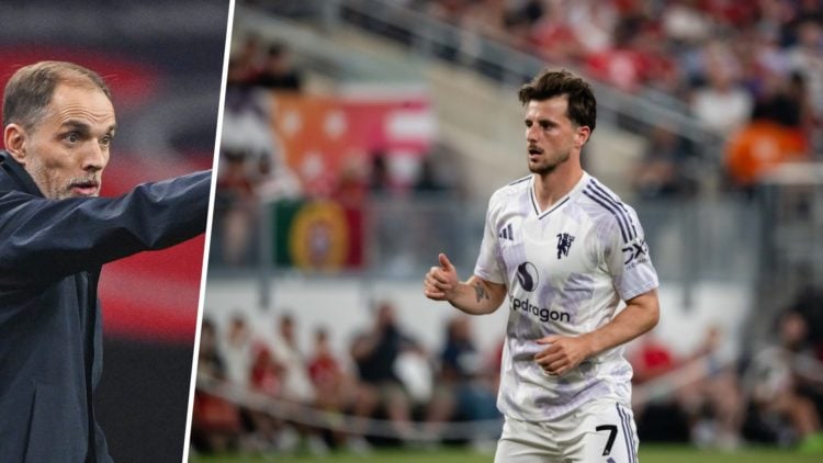 Thomas Tuchel split image and Mason Mount