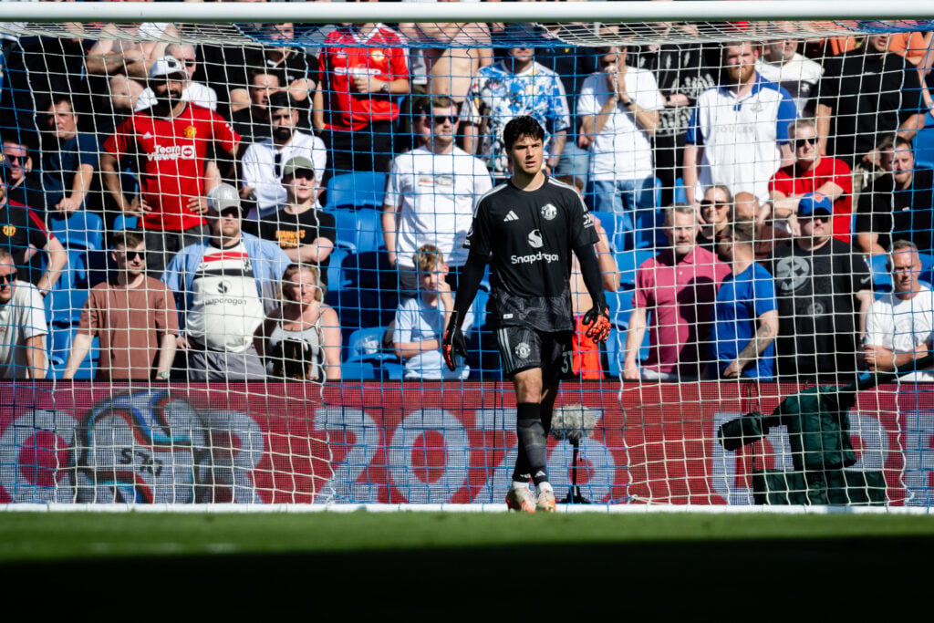 Brighton & Hove Albion v Manchester United - Premier League
